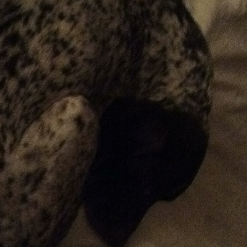 Meet your Posher, Elle